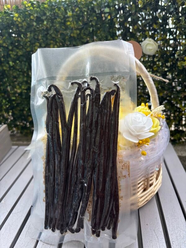 15 GOUSSES NOIRES +16cm  (sous vide)