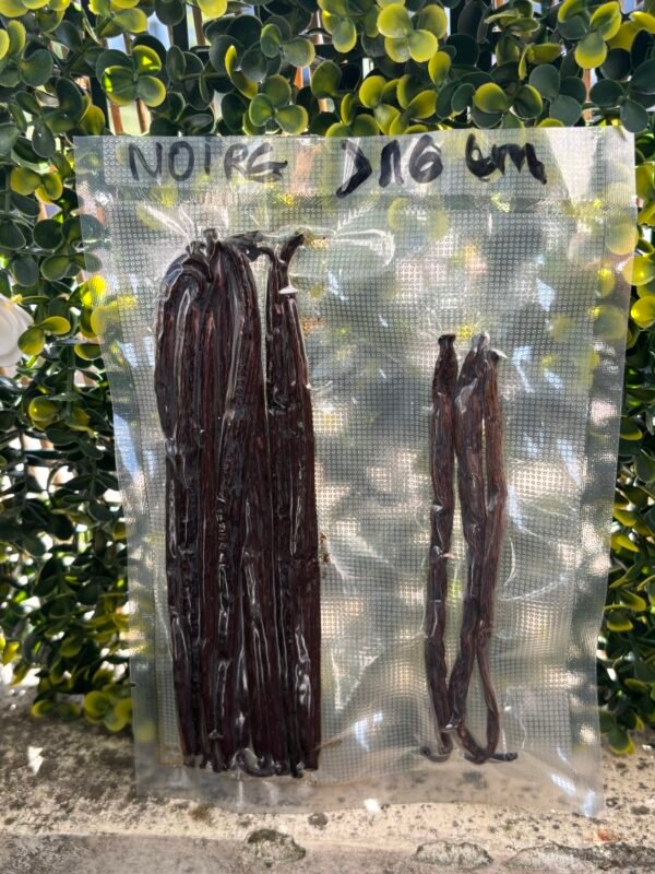 10 GOUSSES NOIRES + 3 GOUSSES ROUGES  (sous vide)